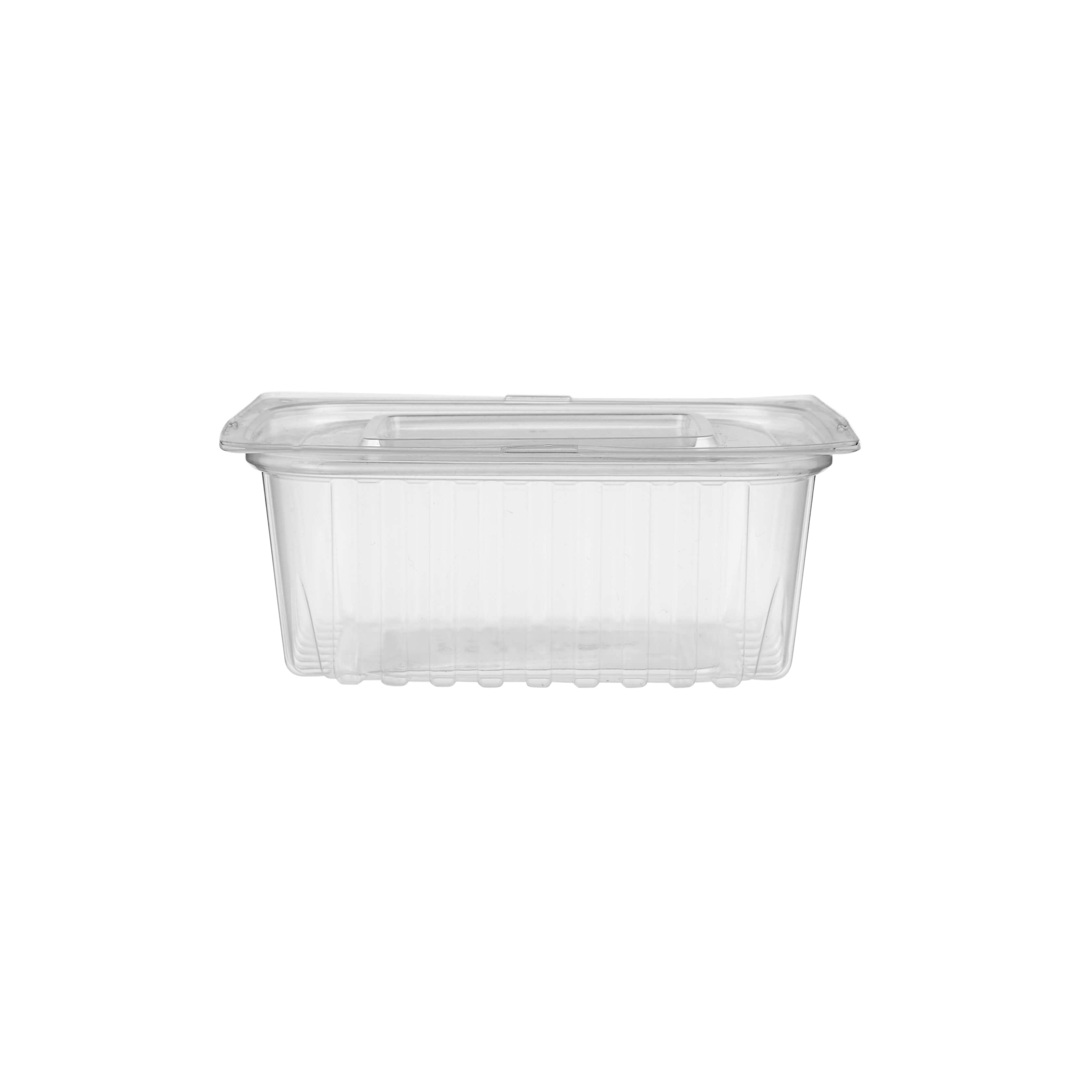 Rectangular _Container With Lid