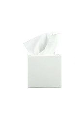 Square Facial Tissues