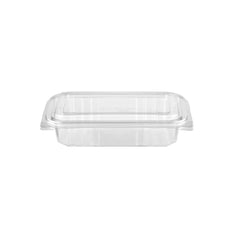 Clear Hinged Container