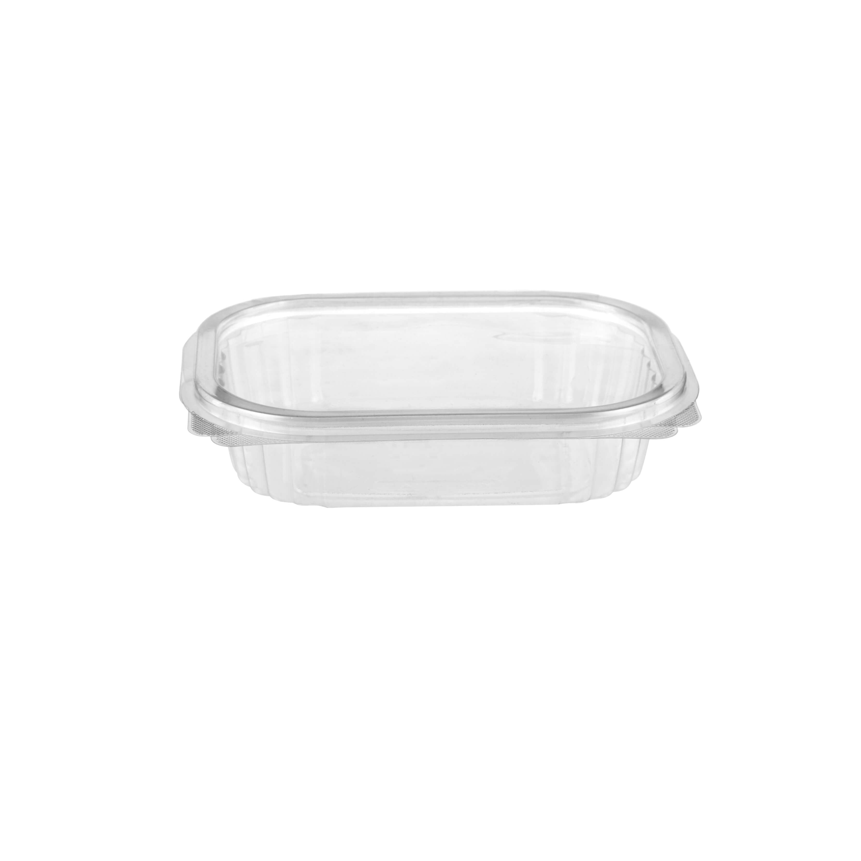 Clear_Hinged_Oval_Container without lid