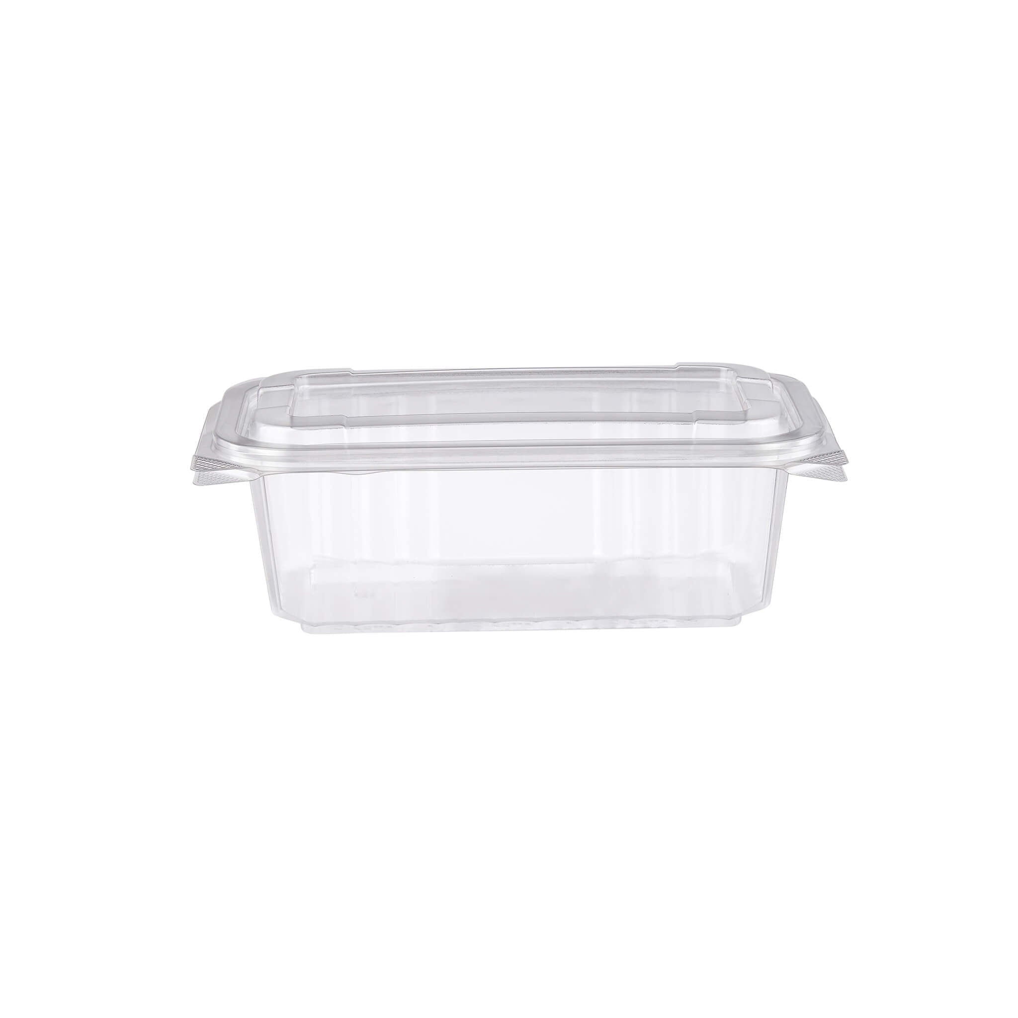 Clear_Hinged_Pastry_Container With Lid