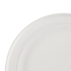  Paper Pulp Plate