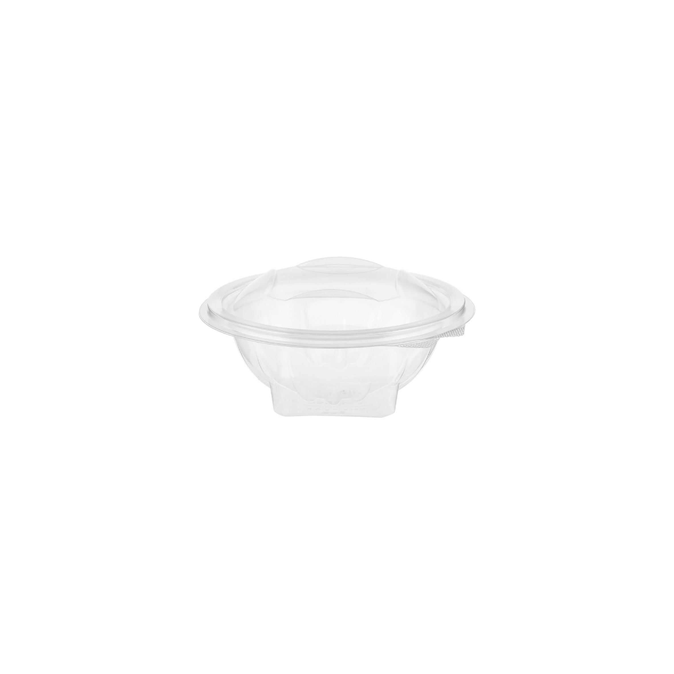  Salad Bowl